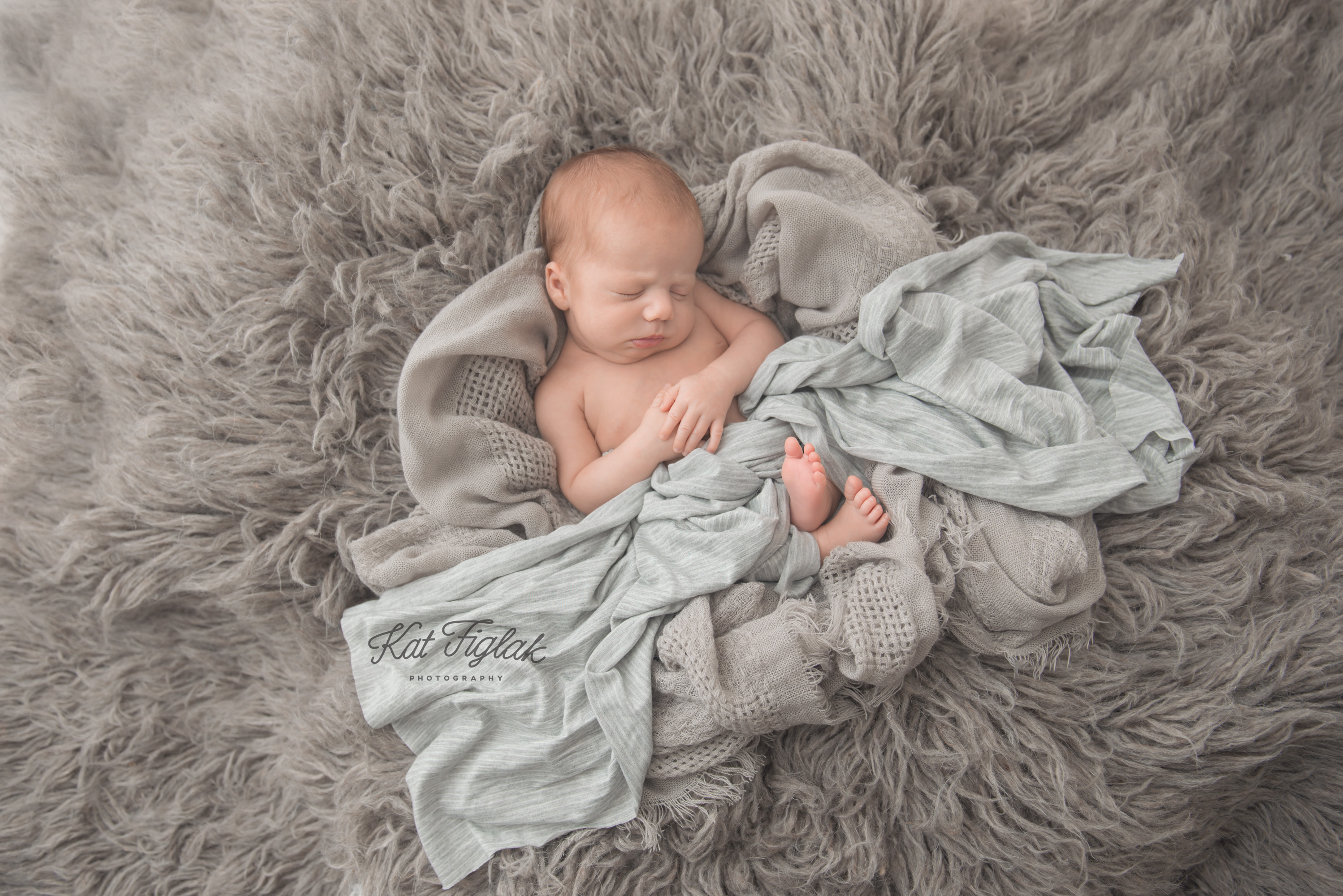 Newborn baby boy snuggled sleeping in gray blankets, knits and furs wrapped in light blue wrap